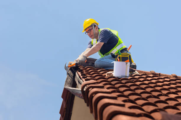 Fast & Reliable Emergency Roof Repairs in Delaware City, DE